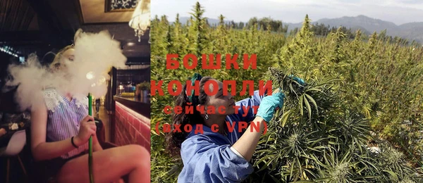 шишки Снежинск