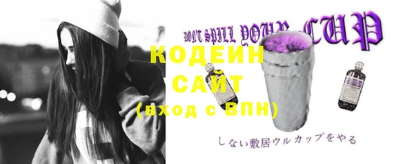гашик Слюдянка