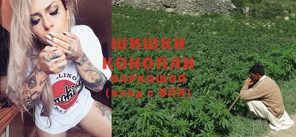 гидропоника Абаза