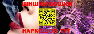 ГАЛЛЮЦИНОГЕННЫЕ ГРИБЫ Камышлов