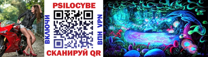 закладки  Лесозаводск  Галлюциногенные грибы Psilocybine cubensis 
